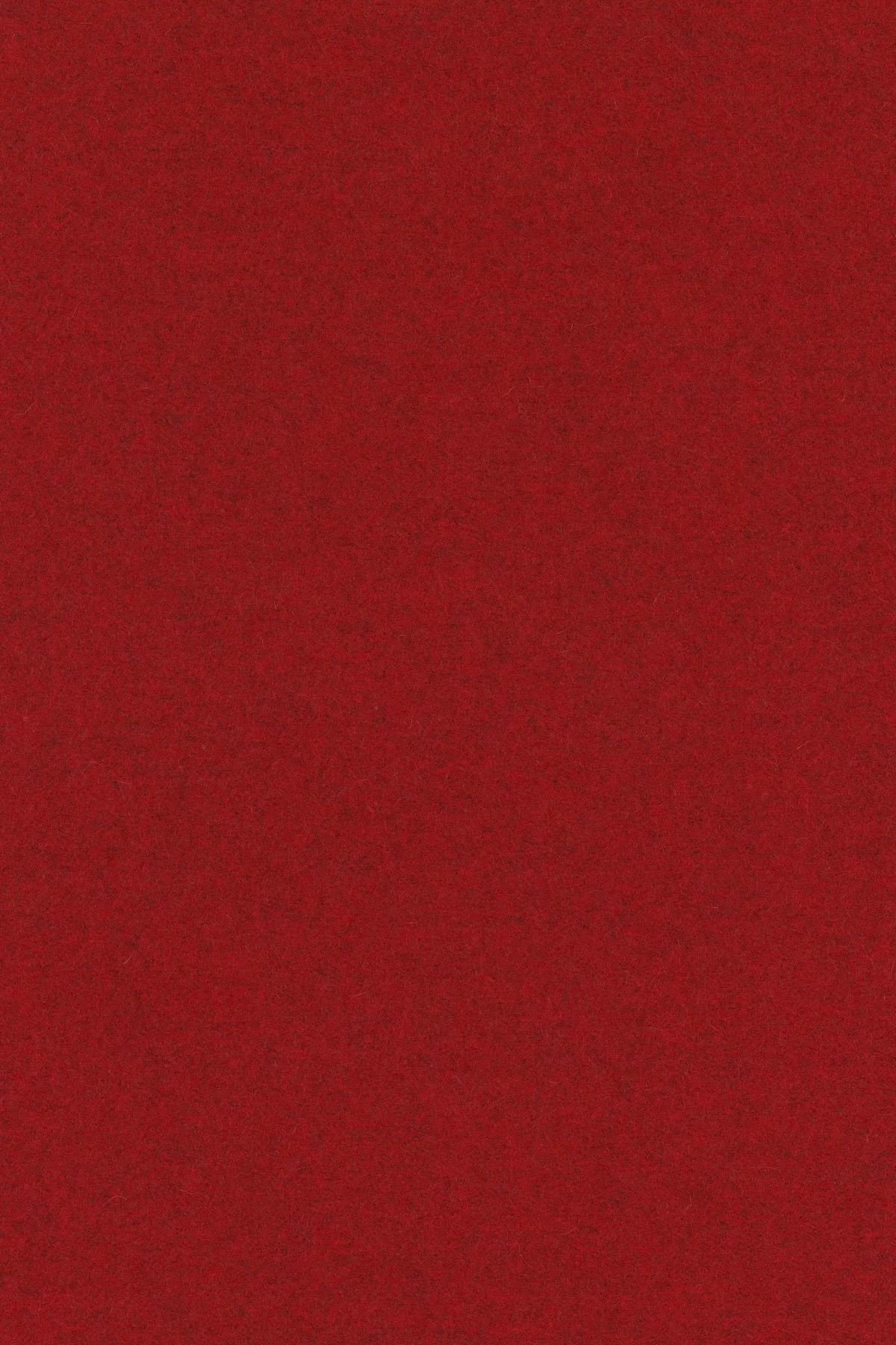 Divina melange 3, 567